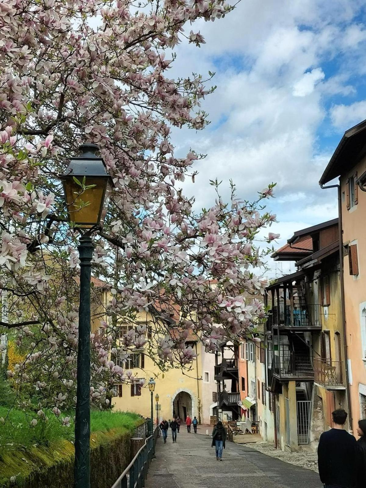 Appartement Suite&castle - Au Pied Du Château D'annecy
